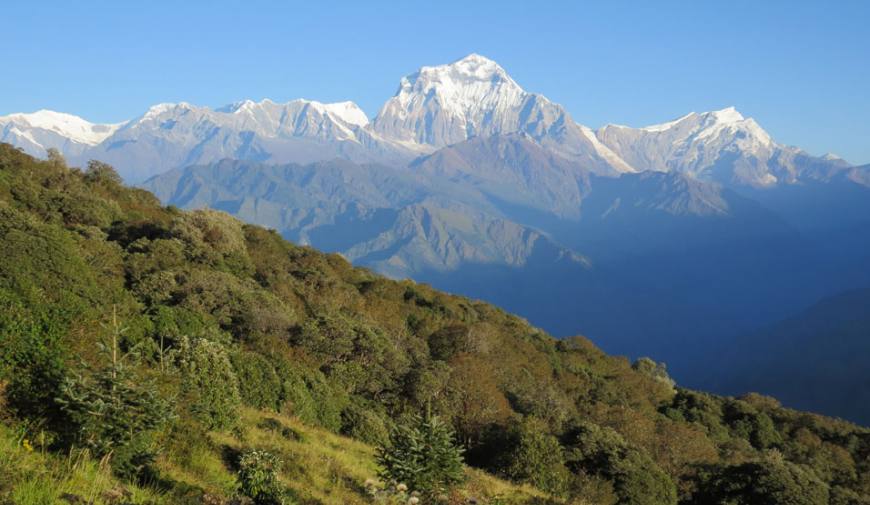 Mt. Dhulagiri 8167m