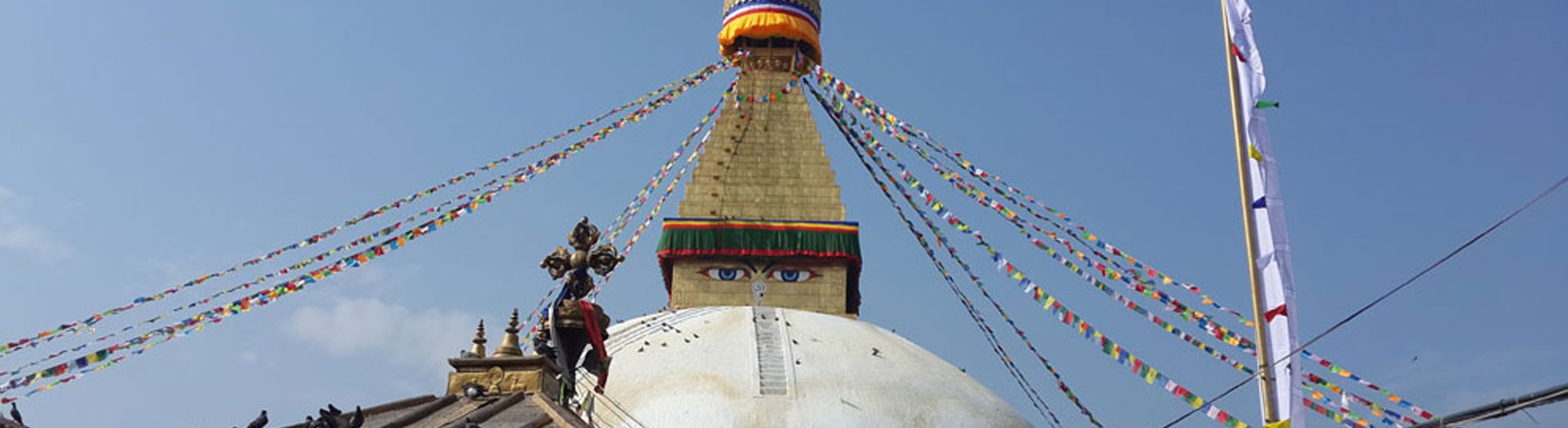 Boudha Stupa Kathmandu