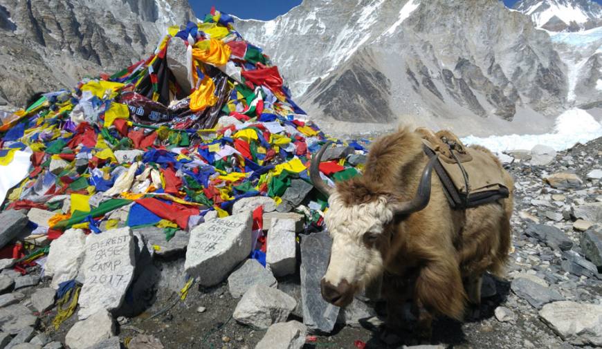 Everest Base Camp and Island Peak Summit Trek