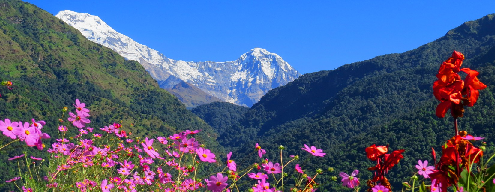 Come and Experience the Beauty of Nepal