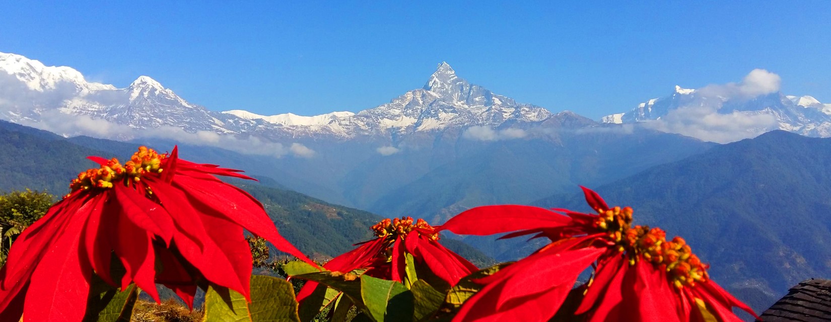 Annapurna Trekking