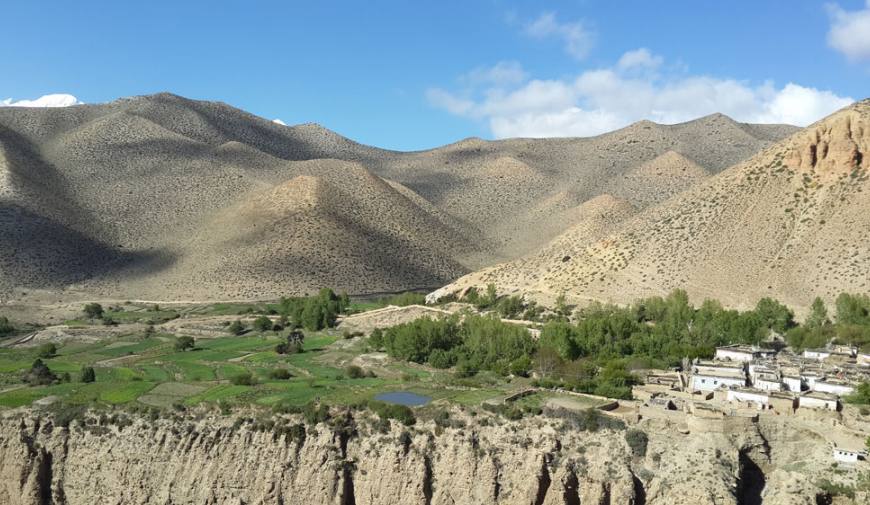 Mustang mix Trek