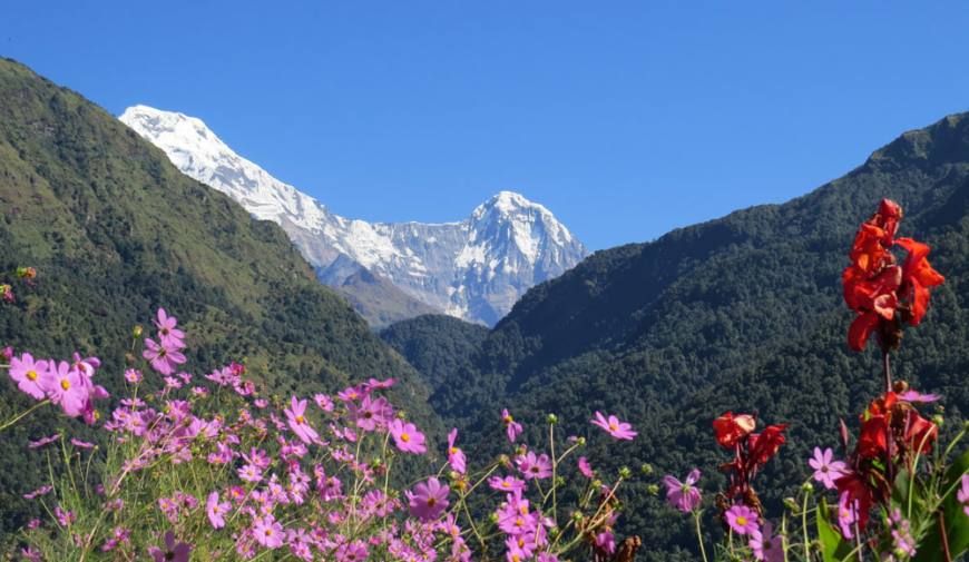 Trekking in Nepal