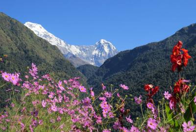 Trekking in Nepal