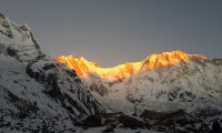 Mt annapurna