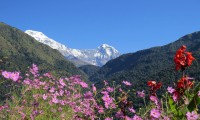 Annapurna south