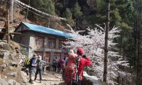 Banker Village