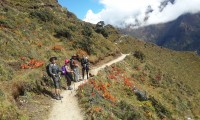 way to everest view point