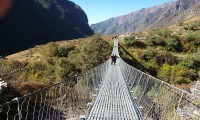 Suspension Bridge