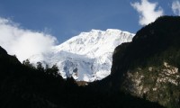 Mt. Annapurna