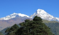 Mt. Annapurna South