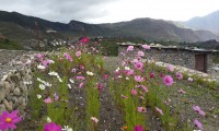 muktinath