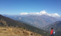 Annapurna panoroma