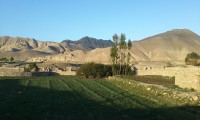 Upper Mustang Beauty