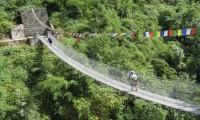 Suspension Bridge