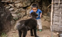 A boy with dog