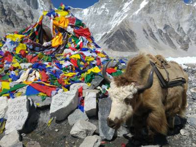 Everest Base Camp and Island Peak Summit Trek