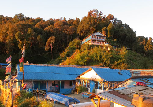 Hike up to Poon Hill (3,210 m); and trek to Tadapani (2,610 m) – 6/7 hrs.