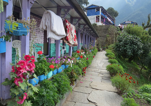 Trek to Sinuwa (2,340 m) - 6 hrs.