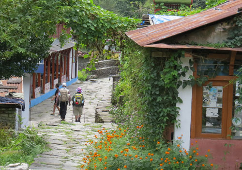 Jhinu Danda (1780 m) to Syauli Bazar (1190 m), 5 hrs.