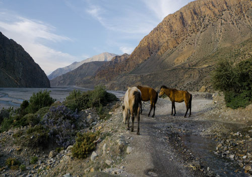 Kagbeni to Chele (3,050m/10,004ft): 5-6 hours