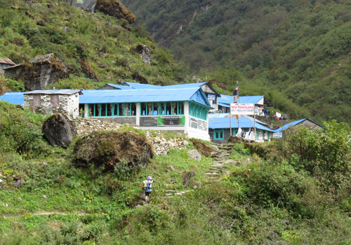 Trek from Sinuwa to Deurali (3,230 m), 6-7 hrs.