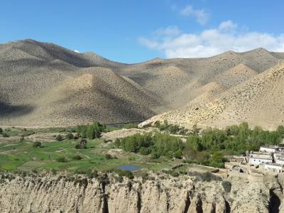 Mustang mix Trek